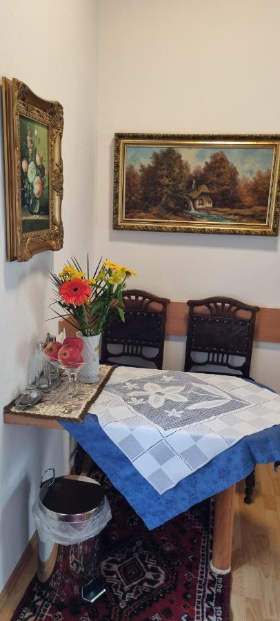 Innenstadtgarten-Wohnung Wolfsberg Zewnętrze zdjęcie