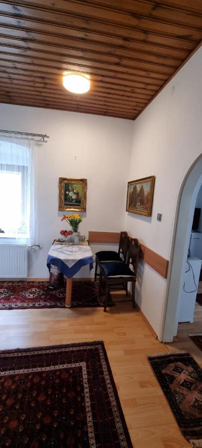 Innenstadtgarten-Wohnung Wolfsberg Zewnętrze zdjęcie